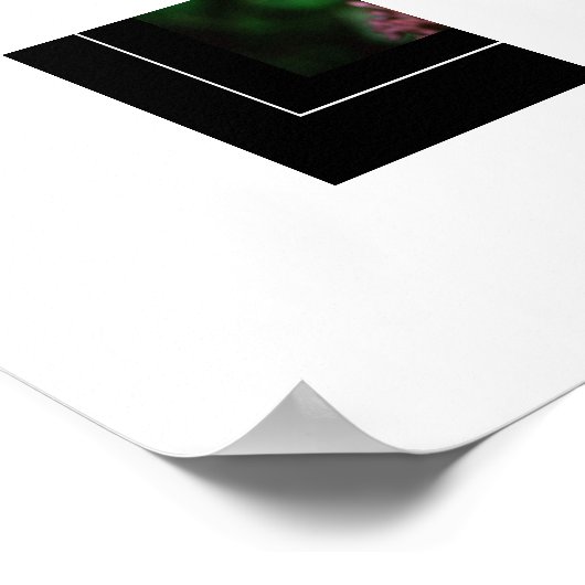 Poster-Hummingbird Poster (Ecke)