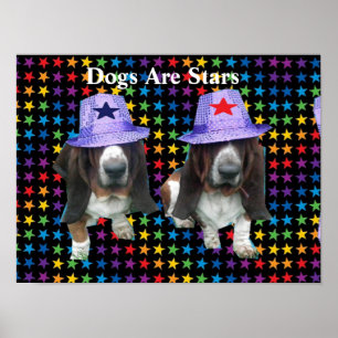 Poster Hunde sind Sterne