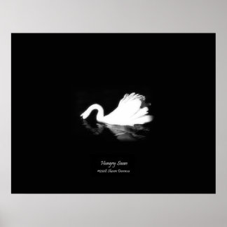 Poster, Hungerschwan, Schwarz & Weiß, Fotografie Poster