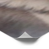 Poster Husky (Ecke)