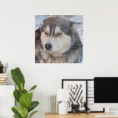 Poster Husky (Heimbüro)