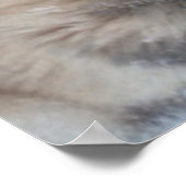 Poster Husky (Ecke)