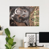 Poster Husky Collie Cross (Heimbüro)