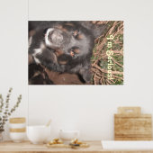 Poster Husky Collie Cross (Küche)