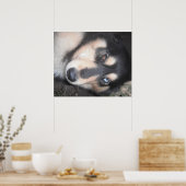 Poster Husky One Blue Eye One Brown Eye (Küche)
