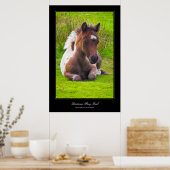 Poster im Stil von Dartmoor Pony Foal (Küche)