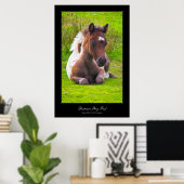 Poster im Stil von Dartmoor Pony Foal (Heimbüro)