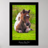 Poster im Stil von Dartmoor Pony Foal (Vorne)