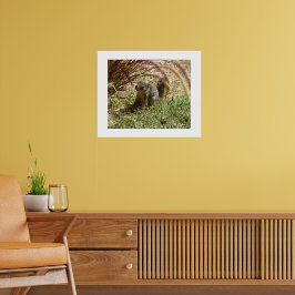 Poster - Inquisitives Eichhörnchen