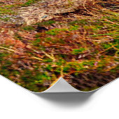 Poster Irland (Ecke)