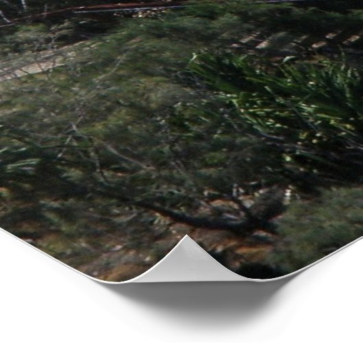 Poster Jumpers Rainbow Bay (Ecke)