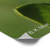 Poster - kalenduale Blossom (Ecke)