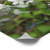 Poster Kirsti Harmaja (Ecke)