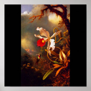 Poster-Klassiker/Retro-Martin Johnson Heade 15 Poster
