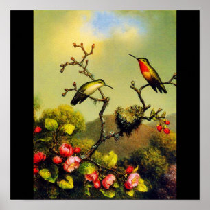 Poster-Klassiker/Vintage-Martin Johnson Heade 5 Poster