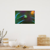 Poster - Kleine und Friedliche Blume (Küche)