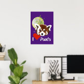Poster Kleiner Panda (Ailurus fulgens) (Heimbüro)