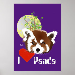 Poster Kleiner Panda (Ailurus fulgens)