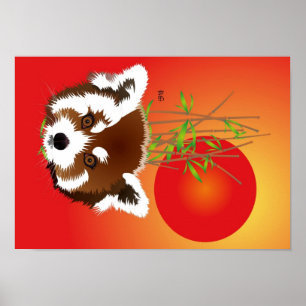 Poster Kleiner Panda (Ailurus fulgens)
