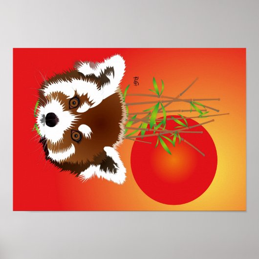 Poster Kleiner Panda (Ailurus fulgens) (Vorne)