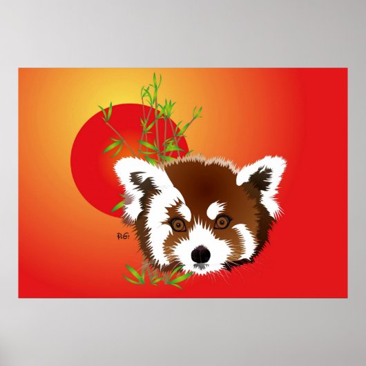 Poster Kleiner Panda (Ailurus fulgens) (Vorne)