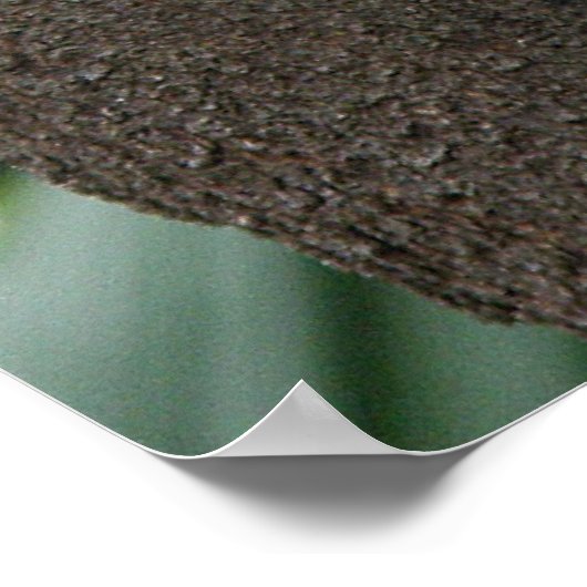 Poster Koala in Tree Australia (Ecke)