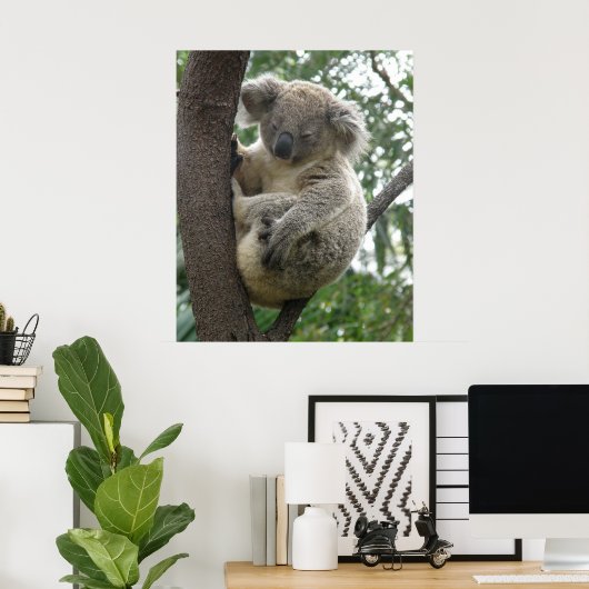 Poster Koala in Tree Australia (Heimbüro)