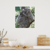 Poster Koala und Babys Australien Foto ZIZAGO (Küche)
