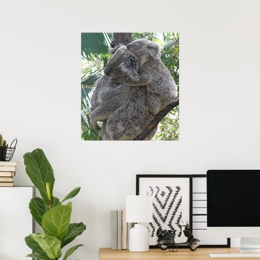 Poster Koala und Babys Australien Foto ZIZAGO (Heimbüro)