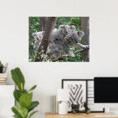 Poster Koala und Zwei Babys Foto Australien (Heimbüro)