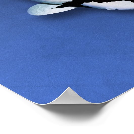 Poster Koi Elegance (Ecke)