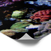 Poster - Korallenriff (Ecke)