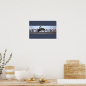 Poster Kormoran mit Möwen (Küche)