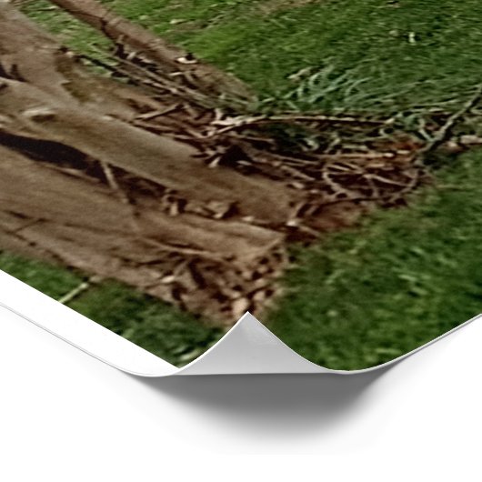 Poster Landscape design  (Ecke)