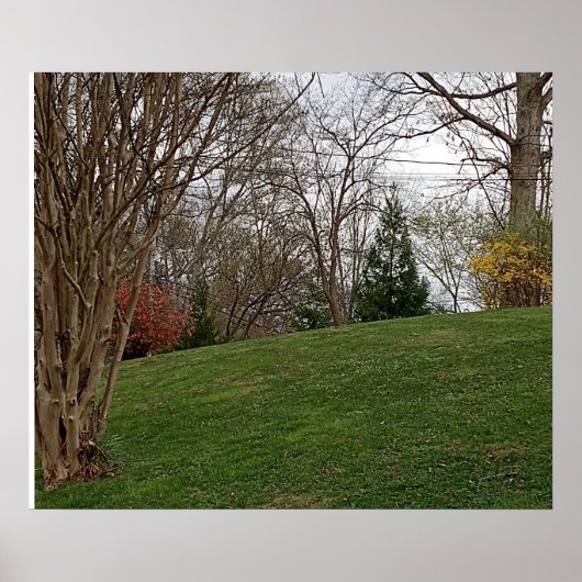 Poster Landscape design (Vorne)