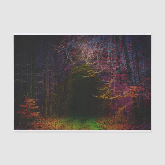 Poster Landschaft Mitternachtswald Seidenpapier (Vorderseite)