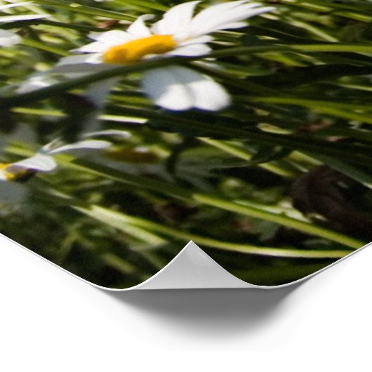 Poster/Leinwand Poster (Ecke)