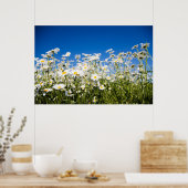 Poster/Leinwand Poster (Küche)