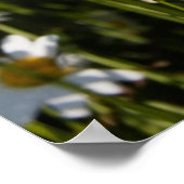 Poster/Leinwand Poster (Ecke)
