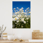 Poster/Leinwand Poster (Küche)