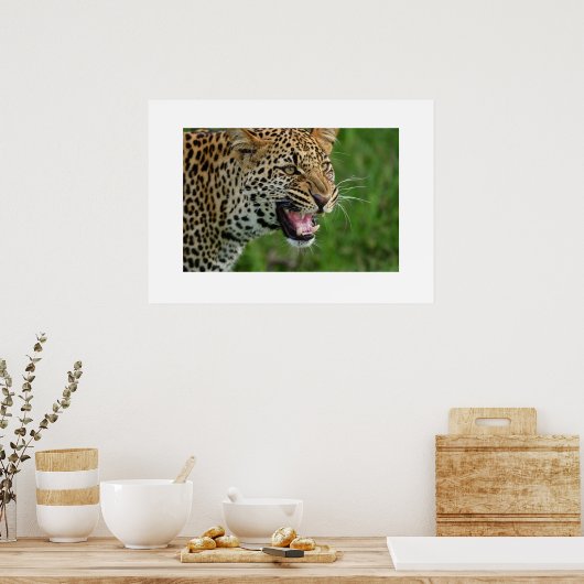 Poster Leopard (Küche)