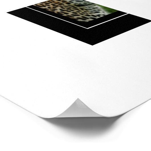 Poster Leopard (Ecke)
