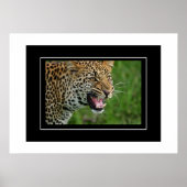 Poster Leopard (Vorne)