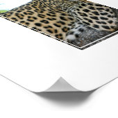Poster-Leopard Poster (Ecke)