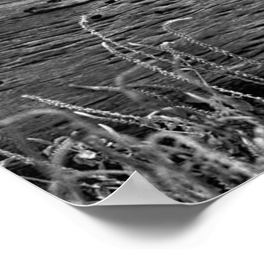 Poster/Leopards im Weltraum Poster (Ecke)