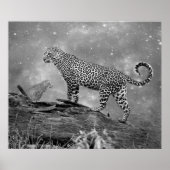 Poster/Leopards im Weltraum Poster (Vorne)