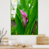Poster Lila Calla Lily (Küche)