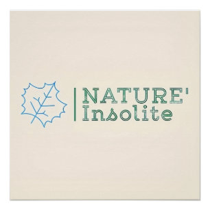 Poster: Logo der Sendung Poster