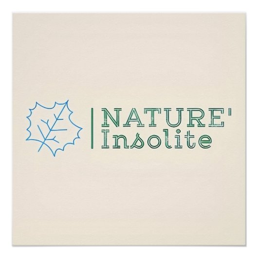 Poster: Logo der Sendung Poster (Vorderseite)