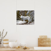 Poster "Lone Wolf" (Küche)